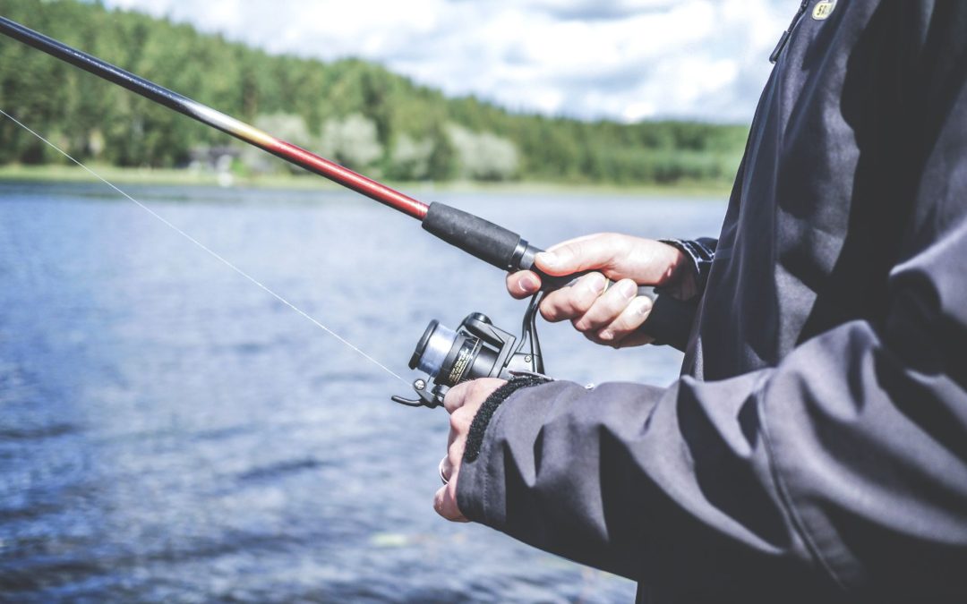 How to Read Water and Find the Best Fishing Spots